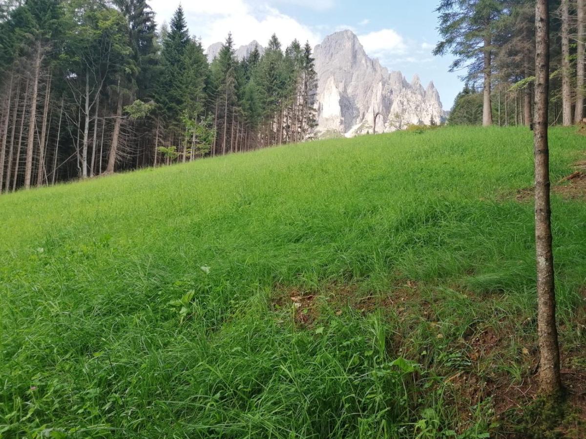 Baita Pra Petina Pale Di San Martino Siror Exterior foto