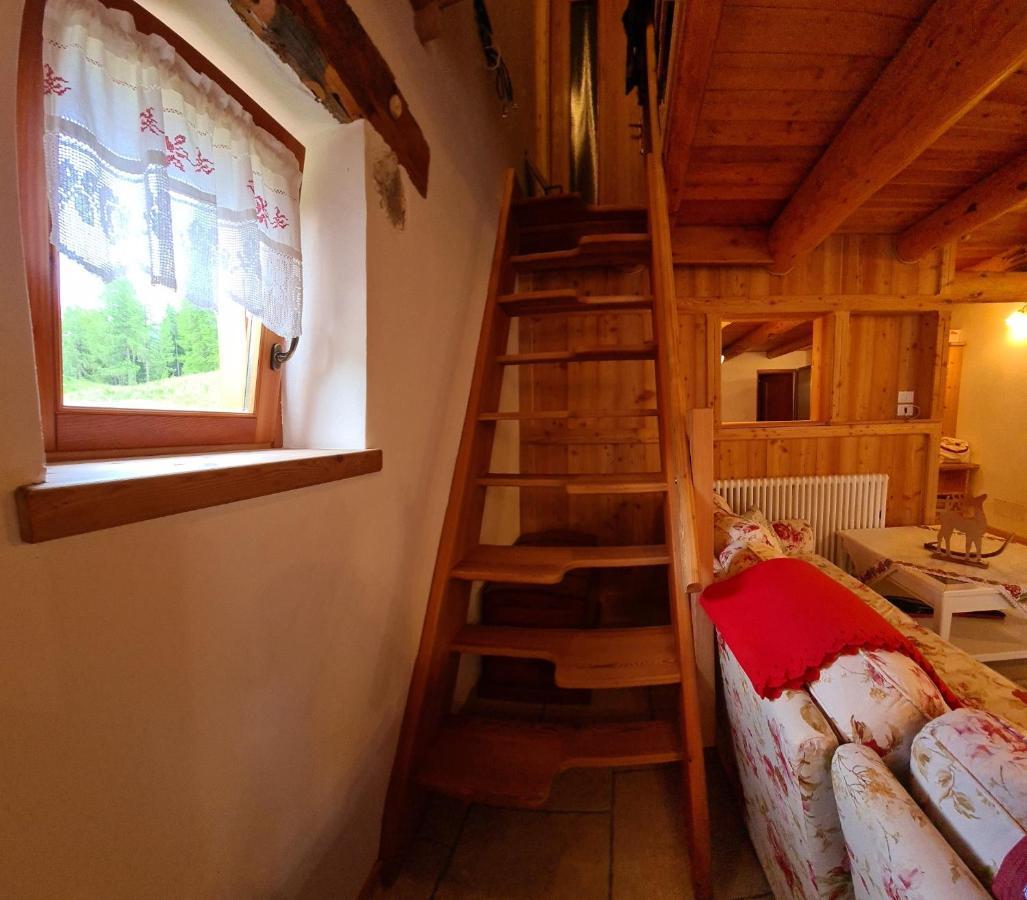 Baita Pra Petina Pale Di San Martino Siror Exterior foto